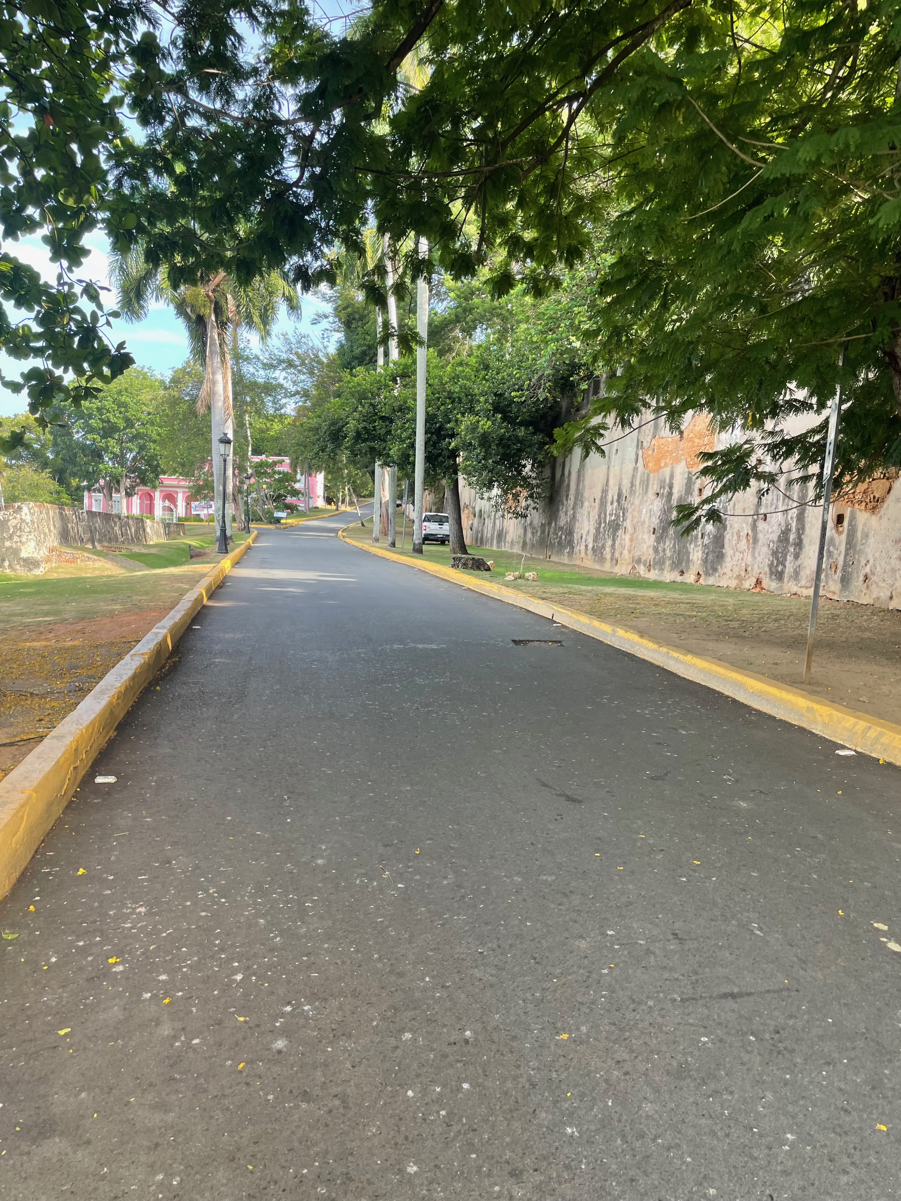La calle bordeada de árboles