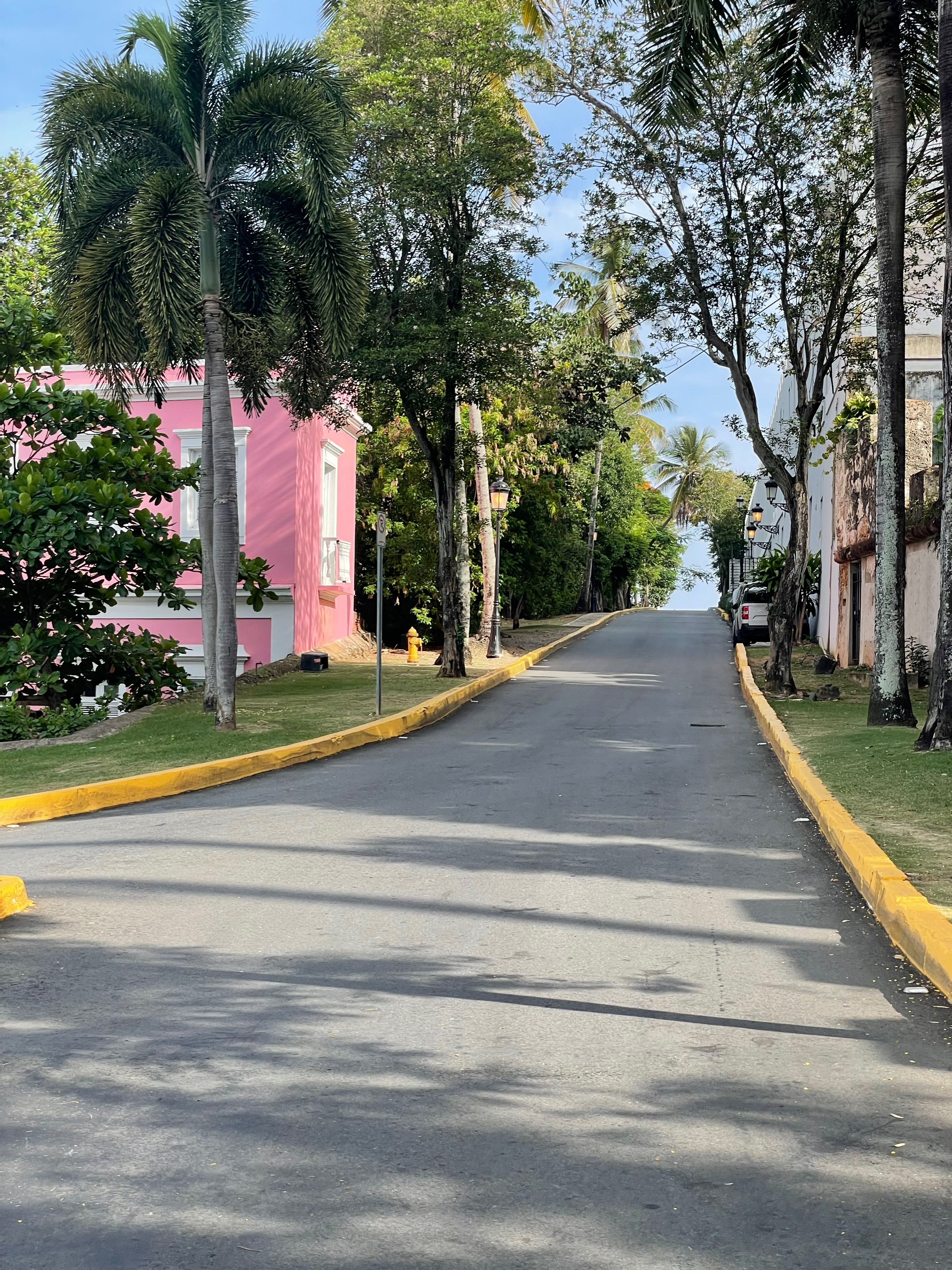 El paseo arbolado del Viejo San Juan