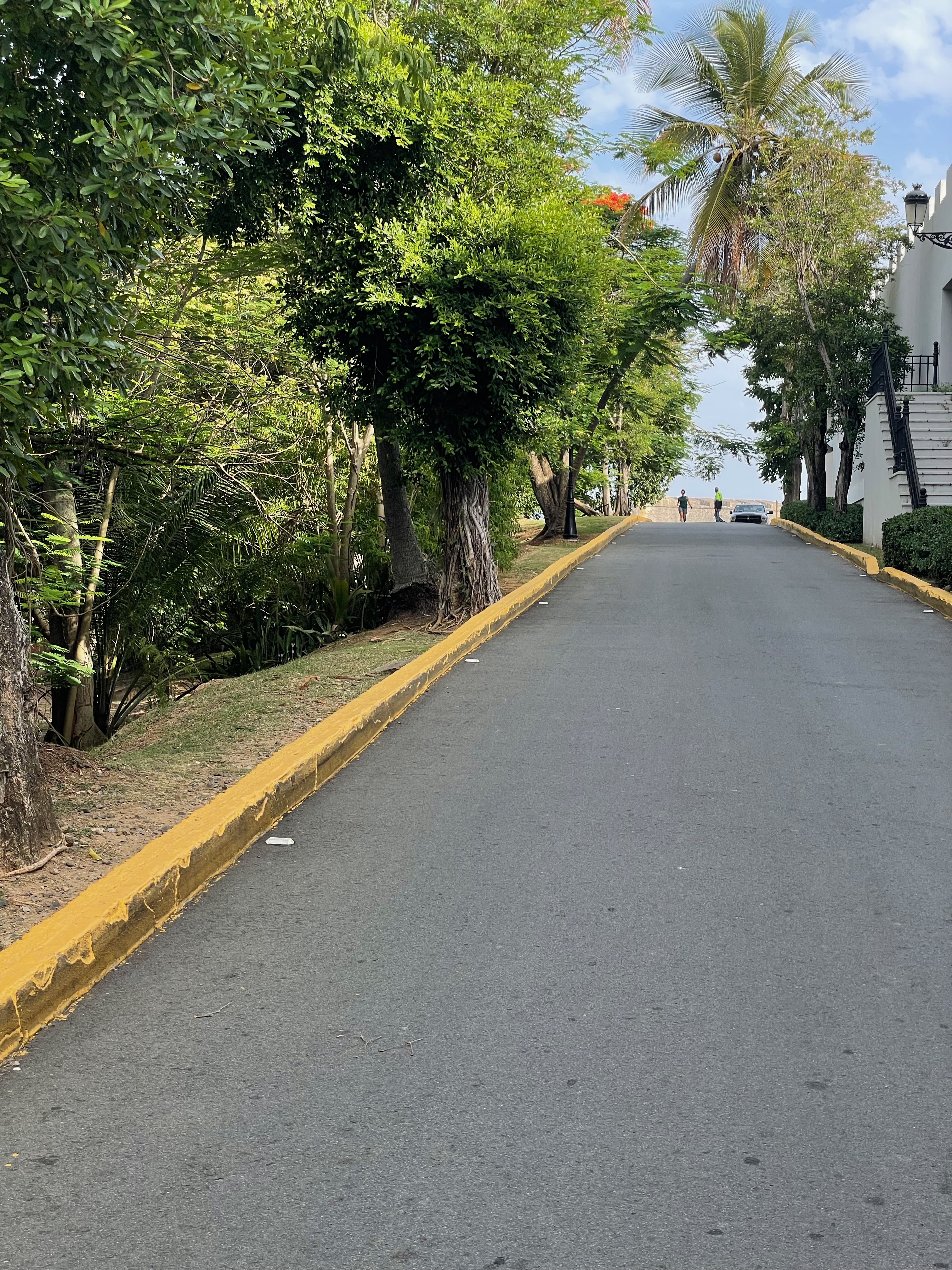 Dosel verde de sombra peatonal