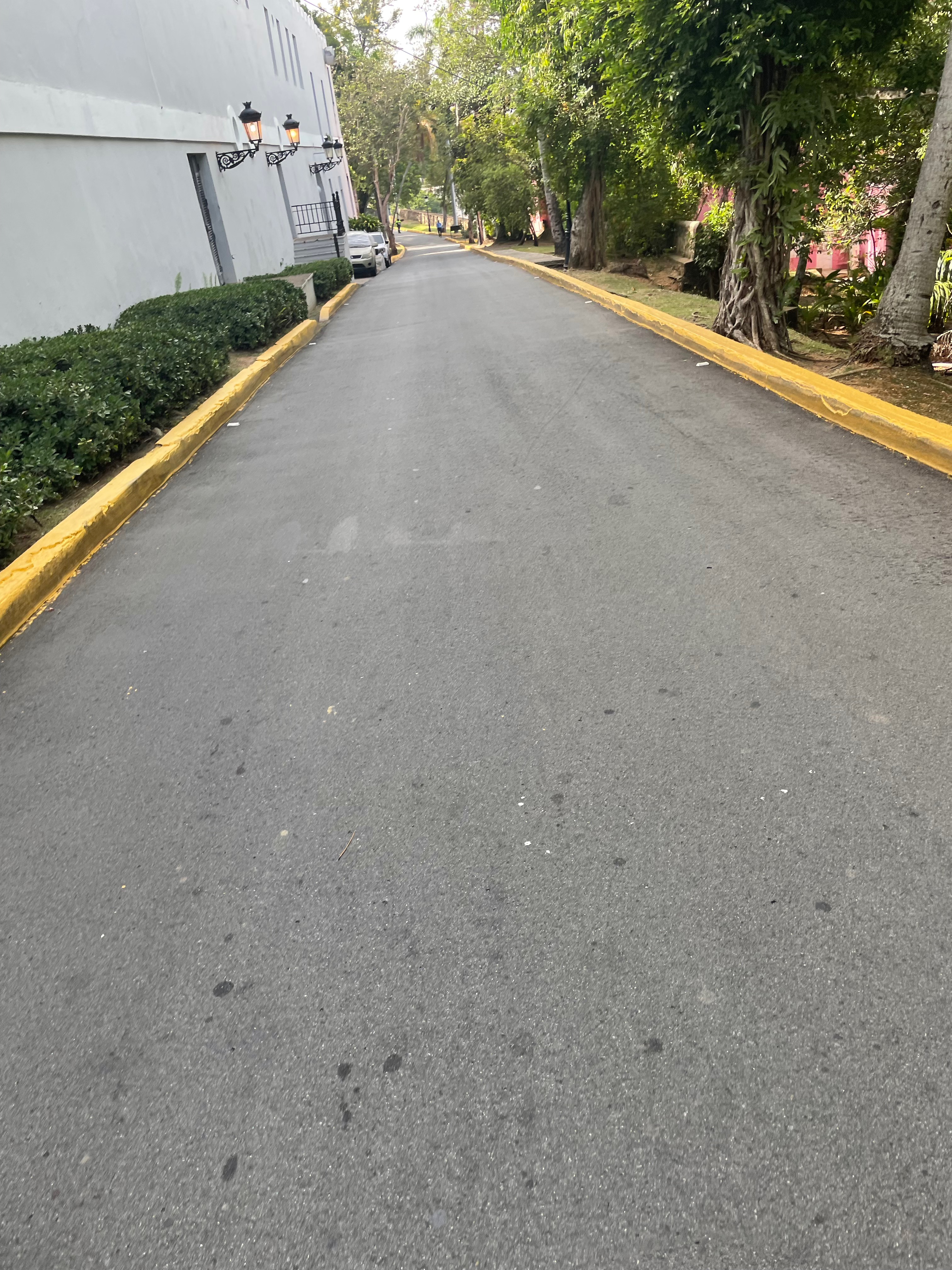 El corredor vivo del Morro